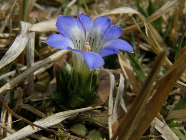 e0145033_20531159.jpg