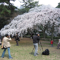 d0033734_11312675.jpg