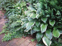 f0002534_20591777.jpg