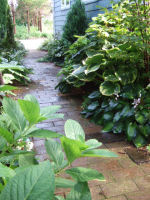 f0002534_210268.jpg