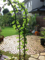 f0002534_2104918.jpg