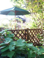 f0002534_21215150.jpg