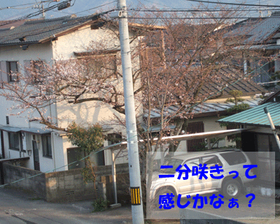 f0008935_2159416.gif