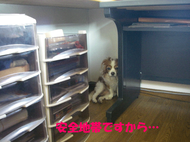 c0136838_21502062.gif