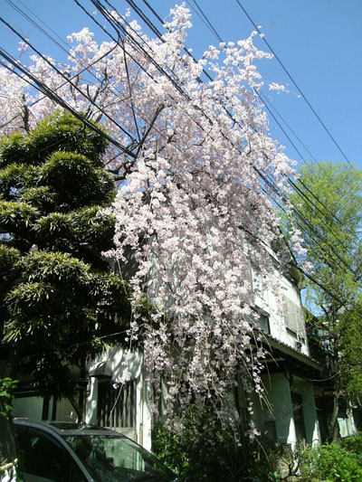b0055939_21132235.jpg
