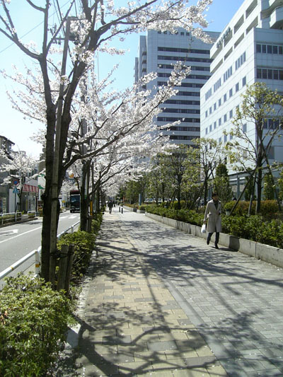 b0055939_21134526.jpg