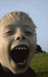 c0001339_8122216.gif