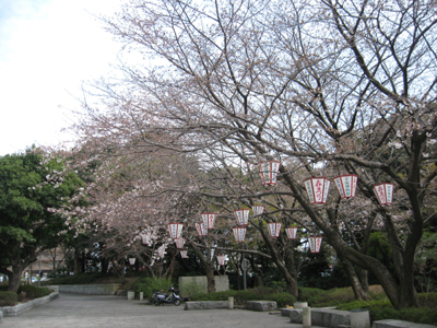 e0110940_9283488.jpg