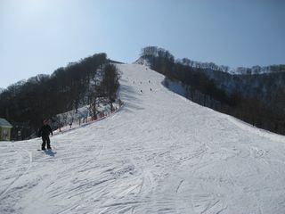f0065341_2239151.jpg