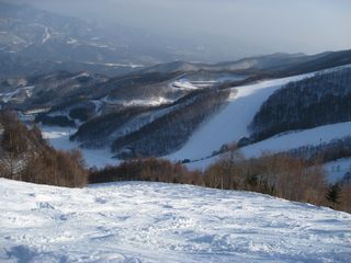 f0065341_22452784.jpg