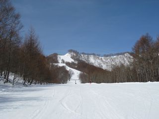 f0065341_22515856.jpg
