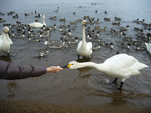 f0065941_23382361.jpg