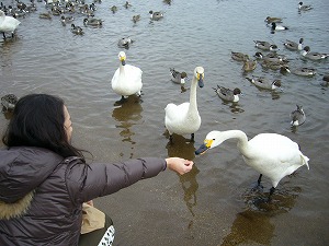 f0065941_23383826.jpg