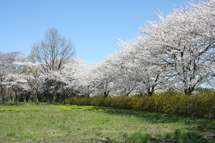 b0124346_1623411.jpg