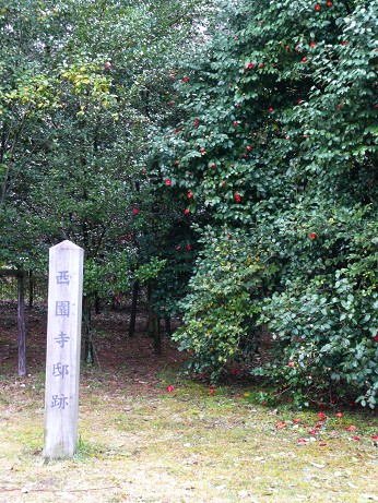 c0057946_208475.jpg