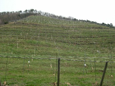 f0072846_21502521.jpg