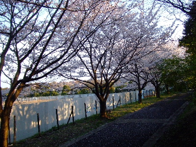 e0121548_10351672.jpg
