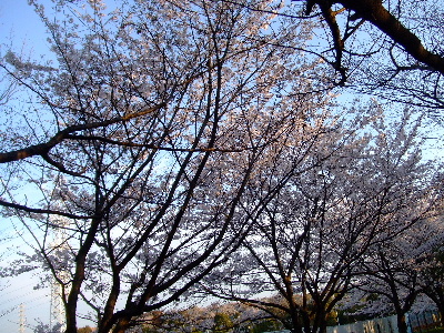 e0121548_10362397.jpg