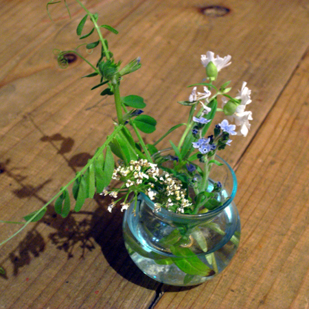 b0049152_12455569.jpg