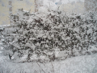 e0004756_205852.jpg