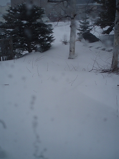 e0004756_2082949.jpg
