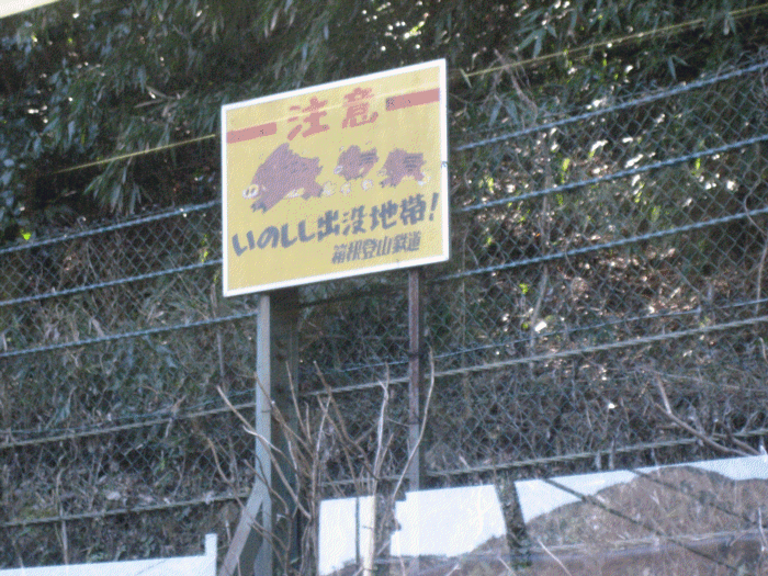 e0111557_1336391.gif