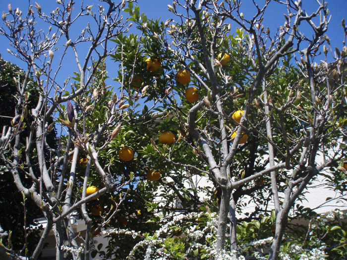 c0110361_1441586.jpg