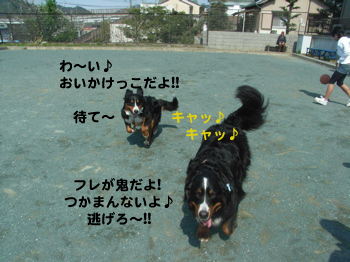 e0124868_23171119.jpg