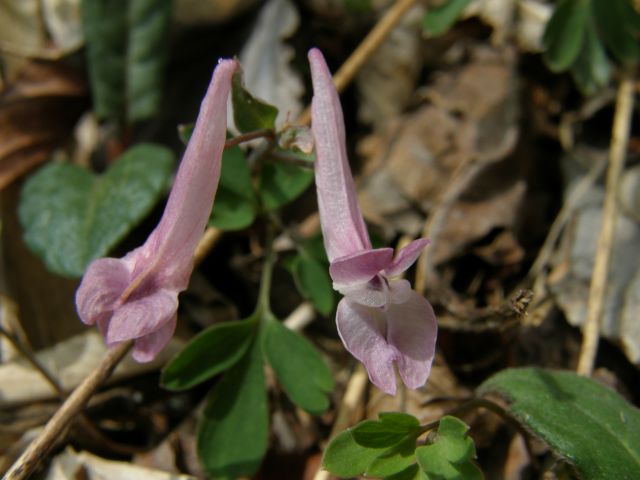 c0042869_20373558.jpg
