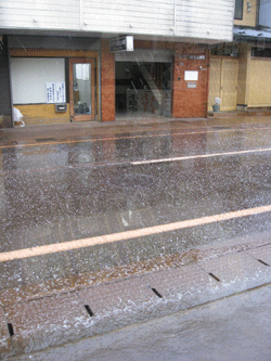 d0050871_10245172.gif