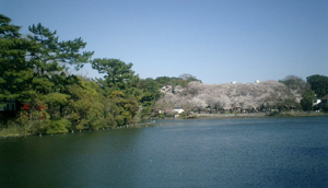b0013376_2205290.jpg