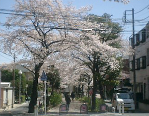 b0013376_2211290.jpg
