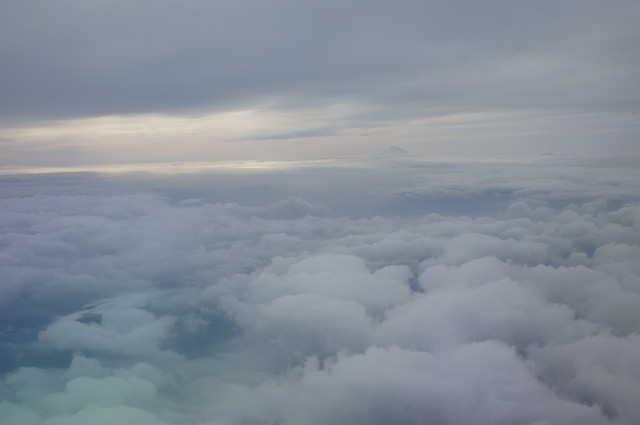 b0102780_1534069.jpg