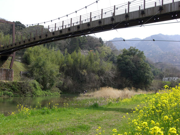 d0126580_1952931.jpg