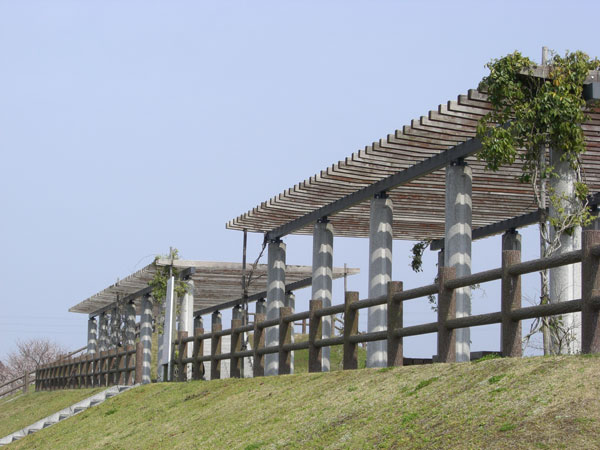 d0126580_19551147.jpg