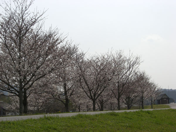 d0126580_1956133.jpg