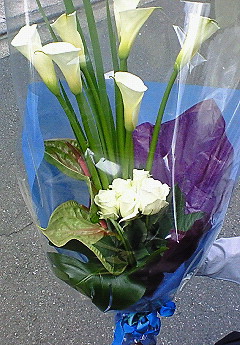 e0088684_033219.jpg