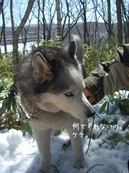 b0000885_7362879.jpg