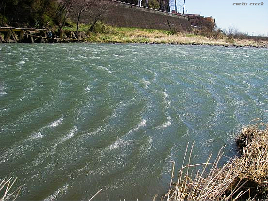 c0136486_2192560.jpg