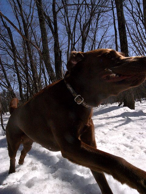 a0093592_22281778.jpg