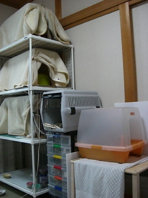 f0121293_13352781.jpg