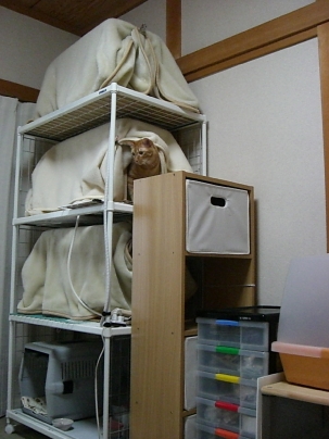 f0121293_1340454.jpg