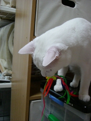 f0121293_13411849.jpg