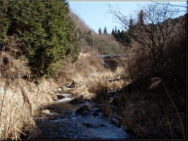 a0043395_21212661.jpg