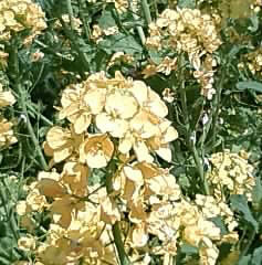 b0124995_10281671.jpg