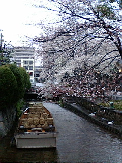 f0010195_2453723.jpg