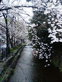 f0010195_2453729.jpg