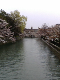 f0010195_2453872.jpg