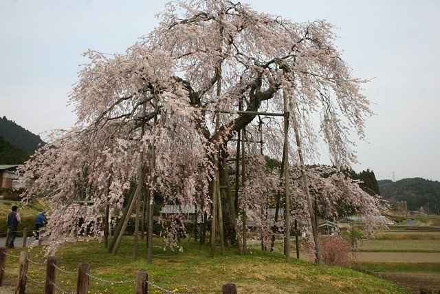 a0056898_16581257.jpg