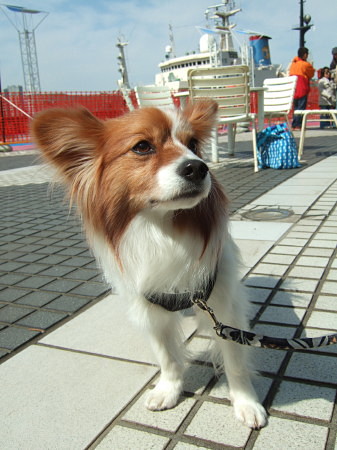 c0044199_13173098.jpg